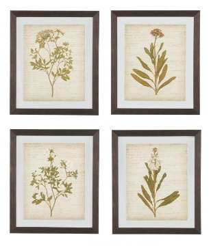 Picture of Dyani Wall Art (Set of 4)