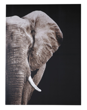 Picture of Jendayl Wall Art