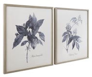 Picture of Efren Wall Art (Set of 2)