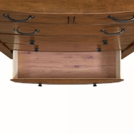 Picture of Gage Chest